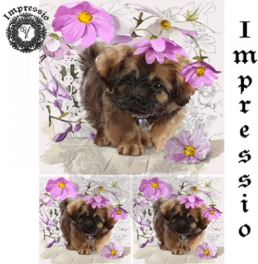Декупажная карта Impressio 30х21 см