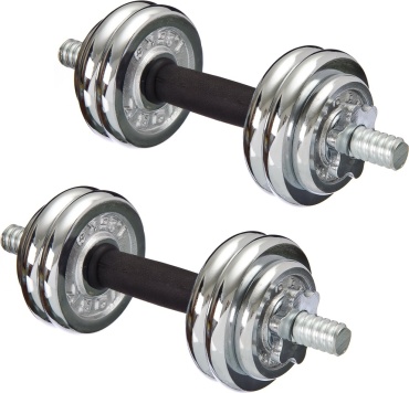 Набор гантелей York Fitness разборная 15 кг