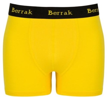 Боксеры Berrak collection желтый