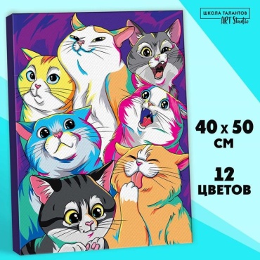 Картина по номерам Школа талантов Яркие котики 50 см x 40 см