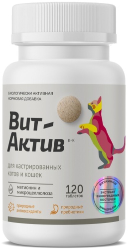 Вит-Актив Вит-Актив добавка в корм 120 мл