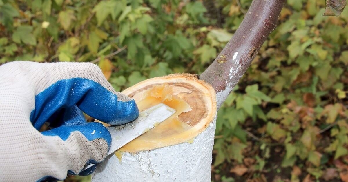Фото 4