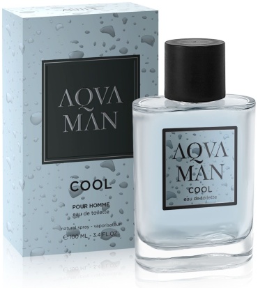 Art Parfum Aqva Man Cool туалетная вода EDT 100 мл, для мужчин
