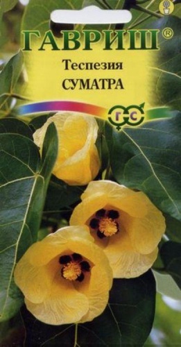 Фото 4