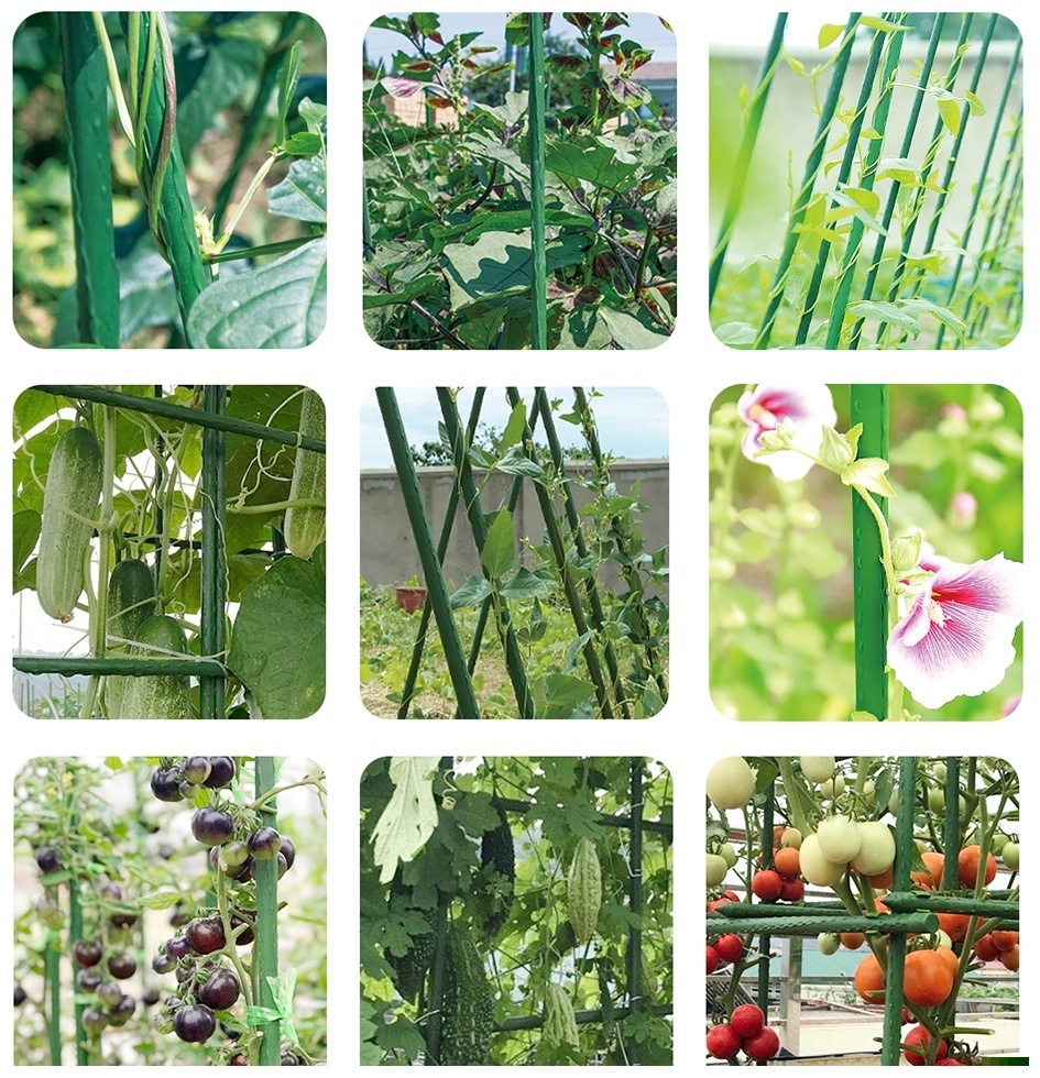 Фото 3