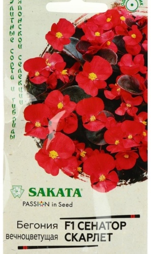 SAKATA бегония Сенатор Скарлет F1