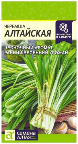 Семена Алтая лук Черемша алтайская