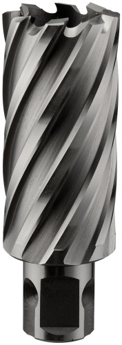 ALTECO корончатое 22473 40 мм, 1 шт.