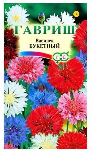 Гавриш василек Василек Букетный