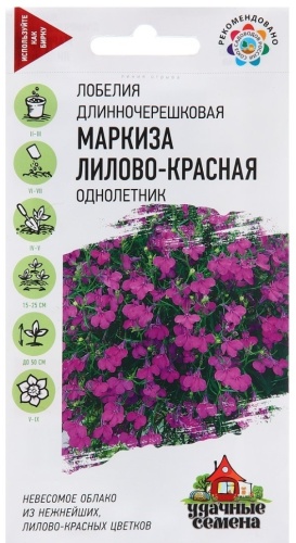 Удачные семена лобелия Маркиза лилово-красная