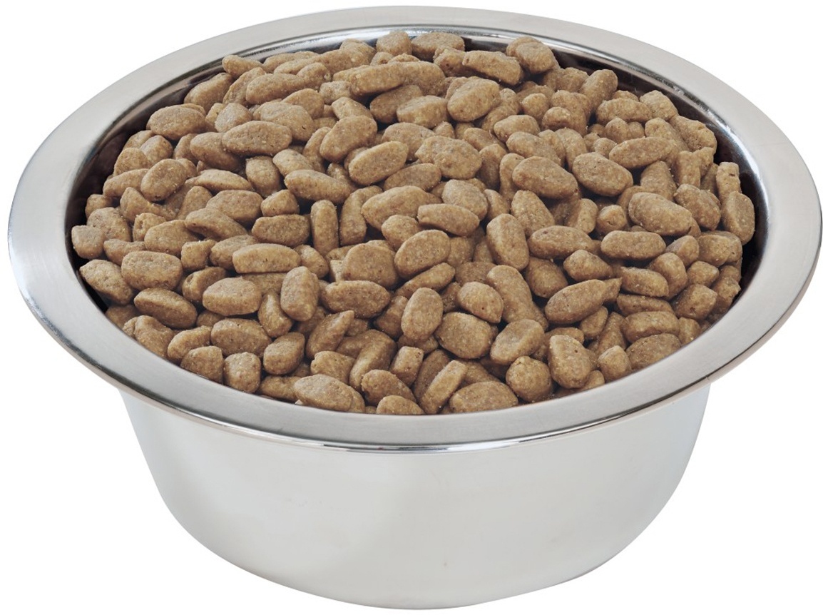 Купить Royal Canin British Shorthair для британских котят 1 кг в кредит ...
