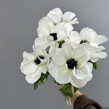 Фото 2
