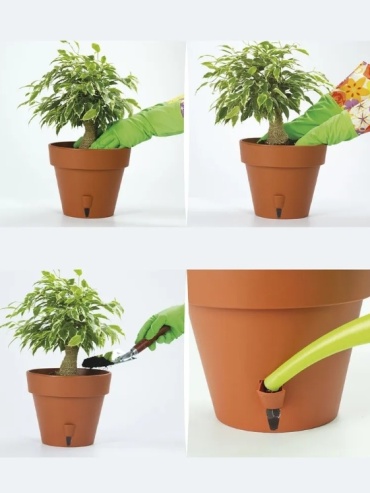 Фото 6