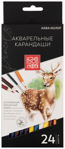 Цветной карандаш Аква-Колор форма шестигранная 24 шт