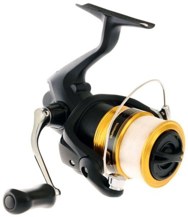 SHIMANO 19 FX 2000 FC