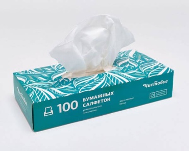 Салфетки ЧИСТОВЬЕ Салфетки бумажные двухслойные вытяжные 20х20 см 100 шт