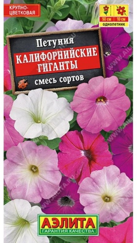 Аэлита петуния Калифорнийские гиганты