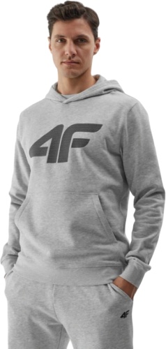 Толстовка 4F серый