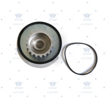 Насос WXQP 550269