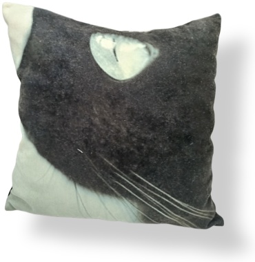 Подушка декоративная ASH TEXTILE 35x35 см, 222631