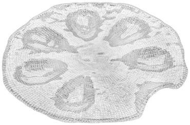 Блюдо IVV 34х34 см, стекло, 1 шт