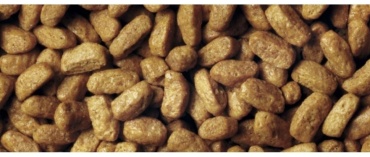 Purina Pro Plan Sterilized для стерилизованных индейка 1 кг