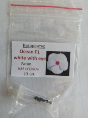 Farao катарантус Ocean F1 White with eye
