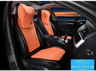 AUTO STATUS Tesla Model 3 2017-2026 оранжевый, черный