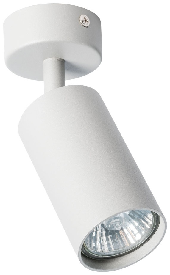 Arte Lamp спот AQUARIUS A3216PL-1GY