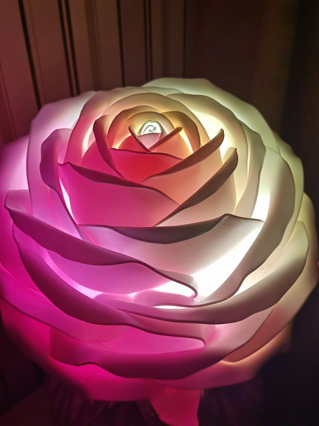 Фото 3