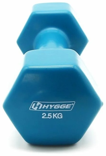 Гантель HYGGE неразборная 2.5 кг