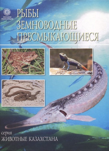 Школьная энциклопедия. Рыбы. Земноводные. Пресмыкающиеся. : Школьная энциклопедия. Рыбы. Земноводные. Пресмыкающиеся.