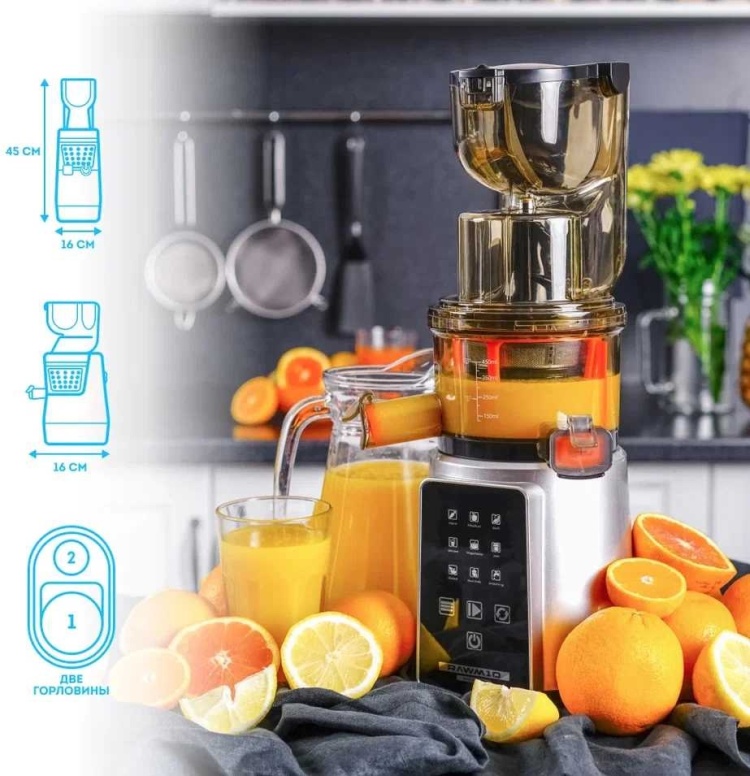 Купить Соковыжималка Rawmid Dream Juicer Modern JDM-80 серебристый в ...