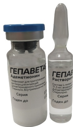 Әкесі мен қызы секс, шынайы және жасырын камерада түсірілген