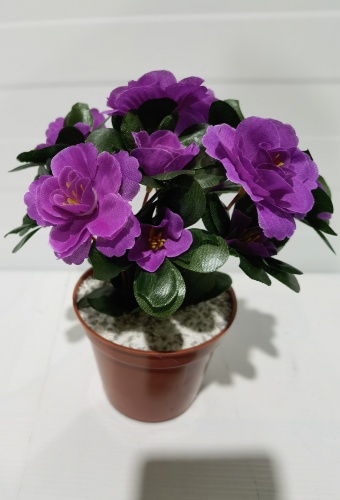 Фото 2