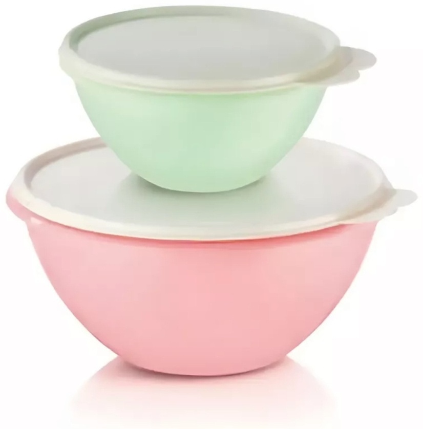 Набор мисок Tupperware Брауни 22х22 см, полипропилен, 2 шт