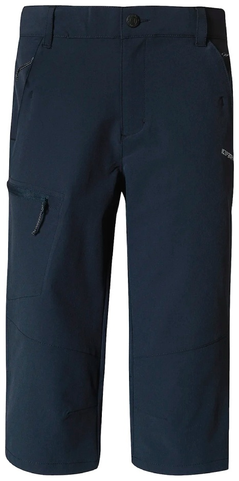 Спортивные брюки Icepeak синий