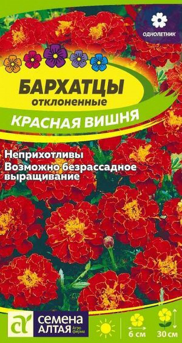 Семена Алтая Бархатцы Красная вишня