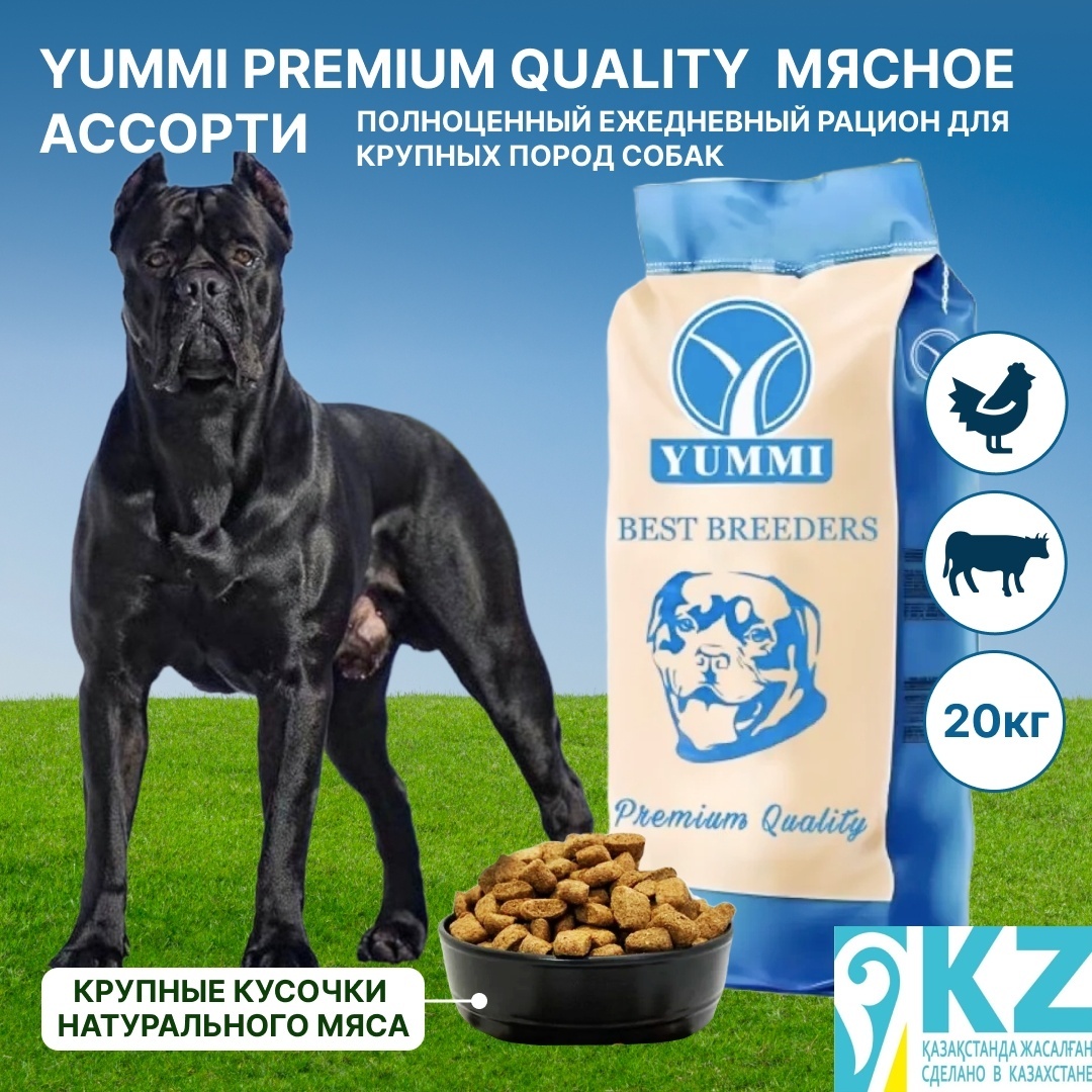 Купить Корм YUMMI Premium Quality Мясное ассорти для взрослых крупных ...