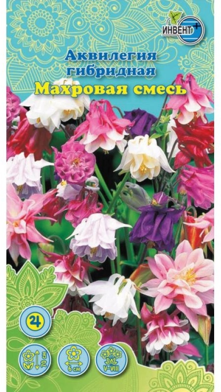 ИНВЕНТ+ аквилегия Махровая смесь окрасок