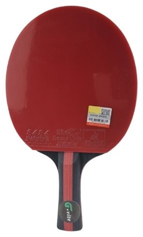 G-VITE GV-DF-CK205