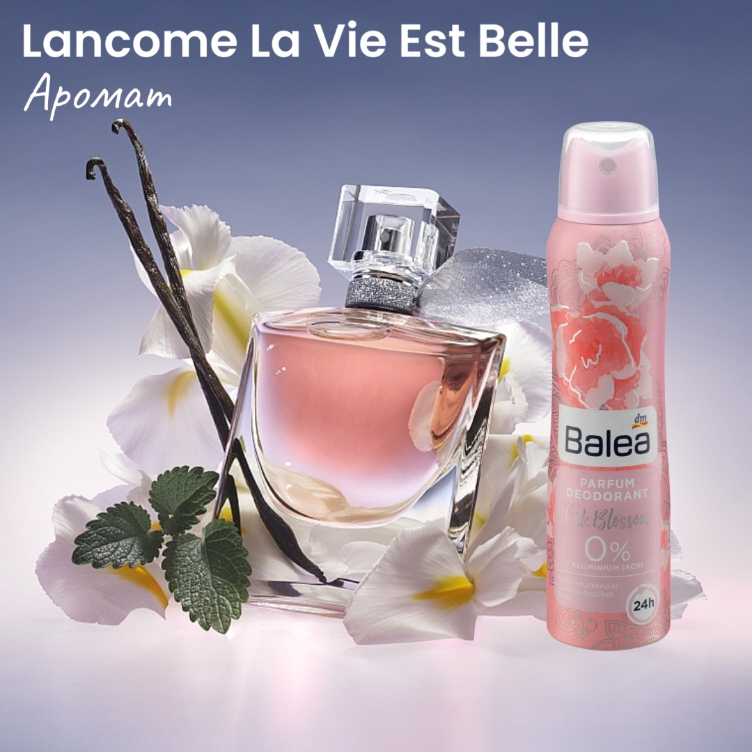 Balea Dm Lancome La Vie Est Belle Balea Parfum Deo Pink Blossom