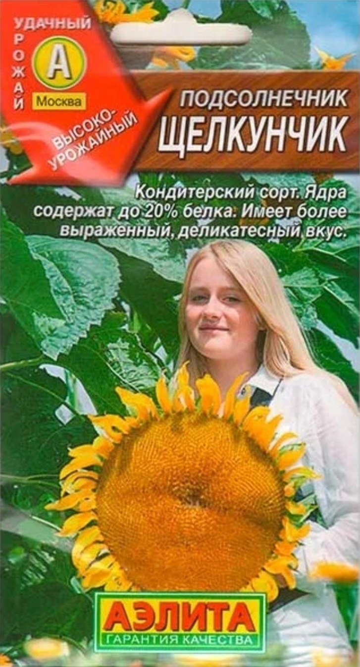 Аэлита подсолнечник Щелкунчик