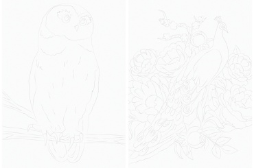 Фото 4