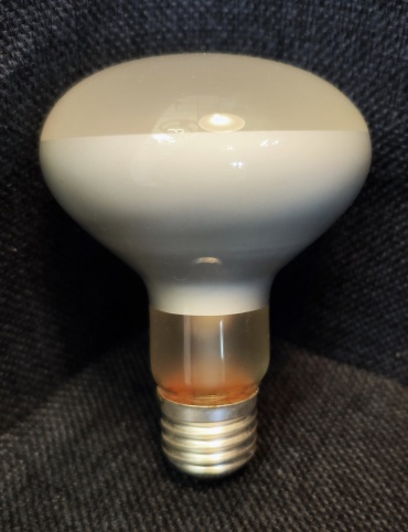 Technolight 100W E27, накаливания, желтый