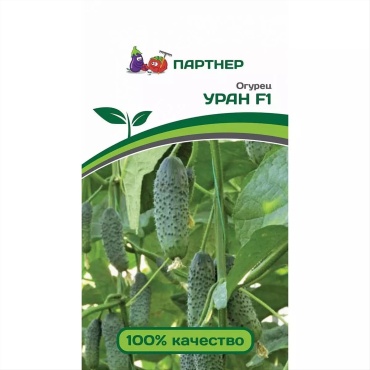 Партнер огурец Уран