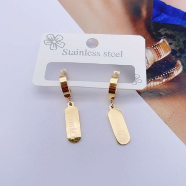 Серьги Stainless Steel бижутерный сплав, ювелирный сплав, медицинское золото, без вставок