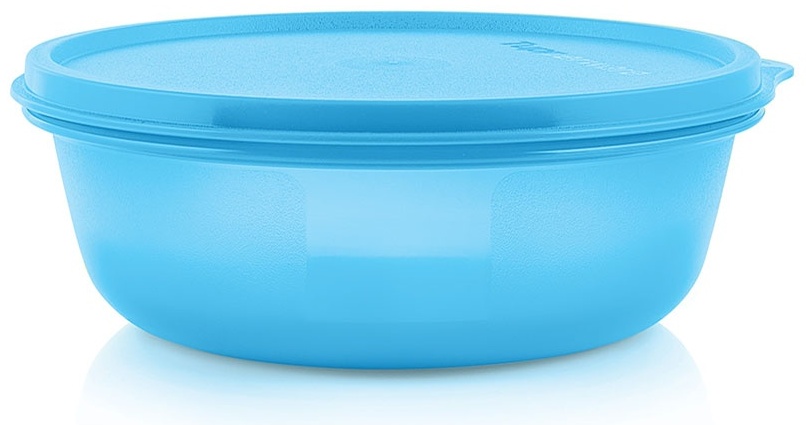 Купить Tupperware контейнер Хит парад РП2932, пластик в кредит в Алматы ...