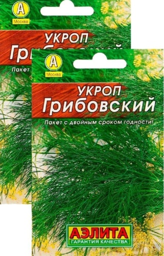 Аэлита укроп Грибовский