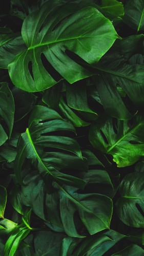 Фото 2